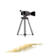 Edify Productions